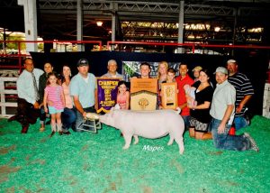 Grand-Champion-NJSA-Gilt-Champion-Yorkshire-2014-World-Pork-Expo-Dylan-McCafferty