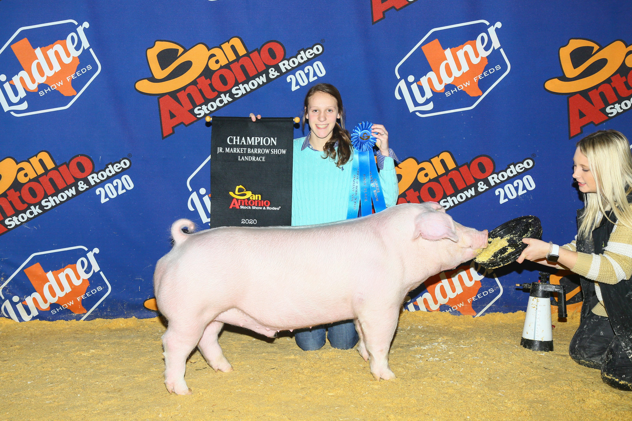 Champion Landrace Barrow San Antonio Stock Show Kaylee Norwood