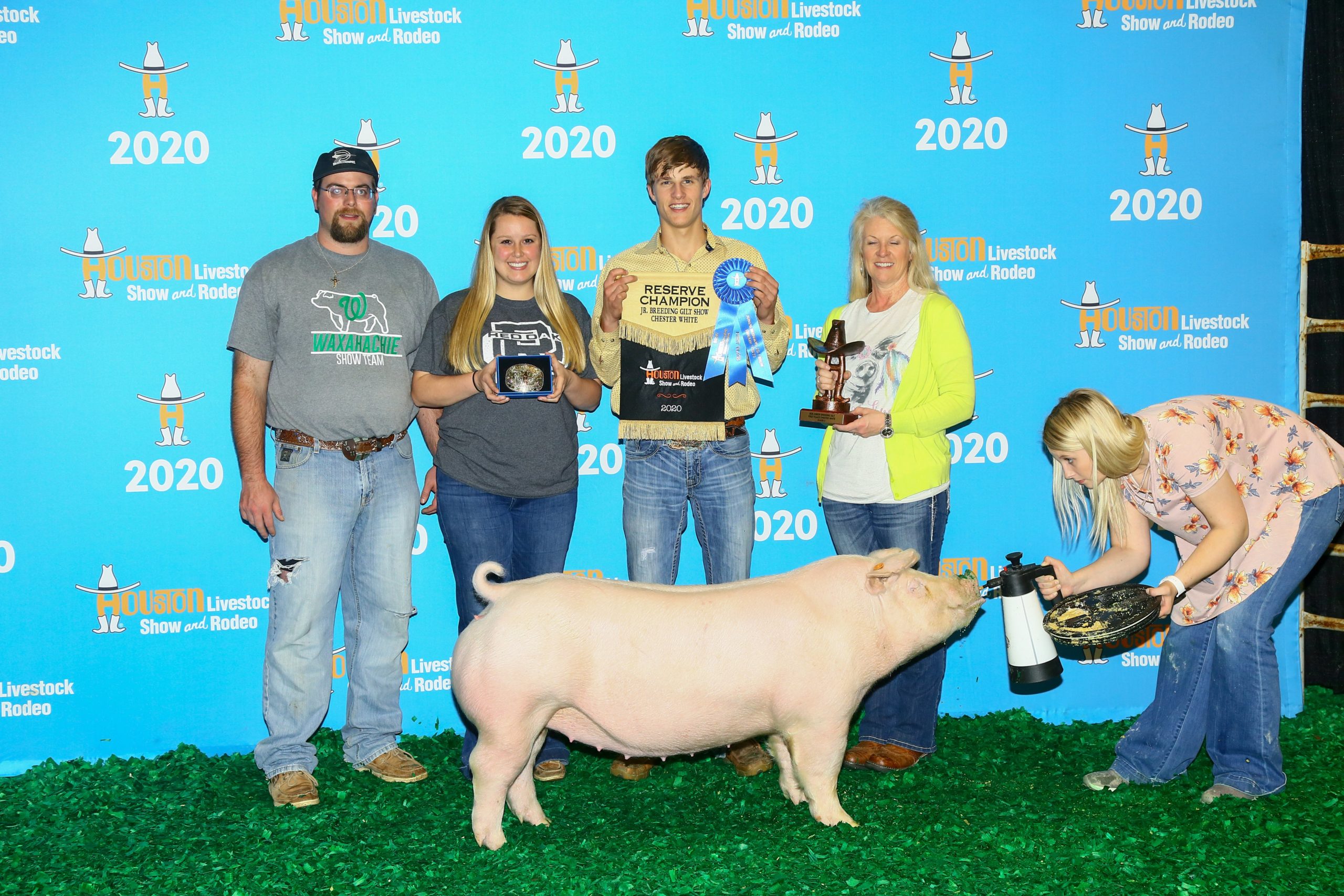 Reserve Chester Gilt Houston Livestock Show Reese Janek Lindner Show