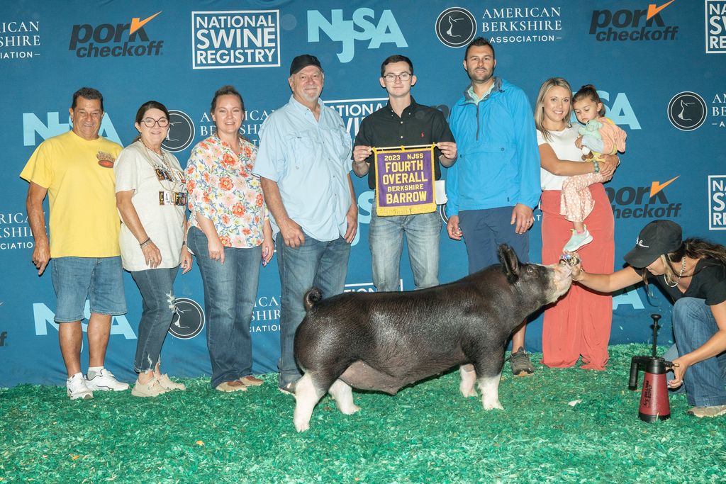 image Lindner Show Feeds